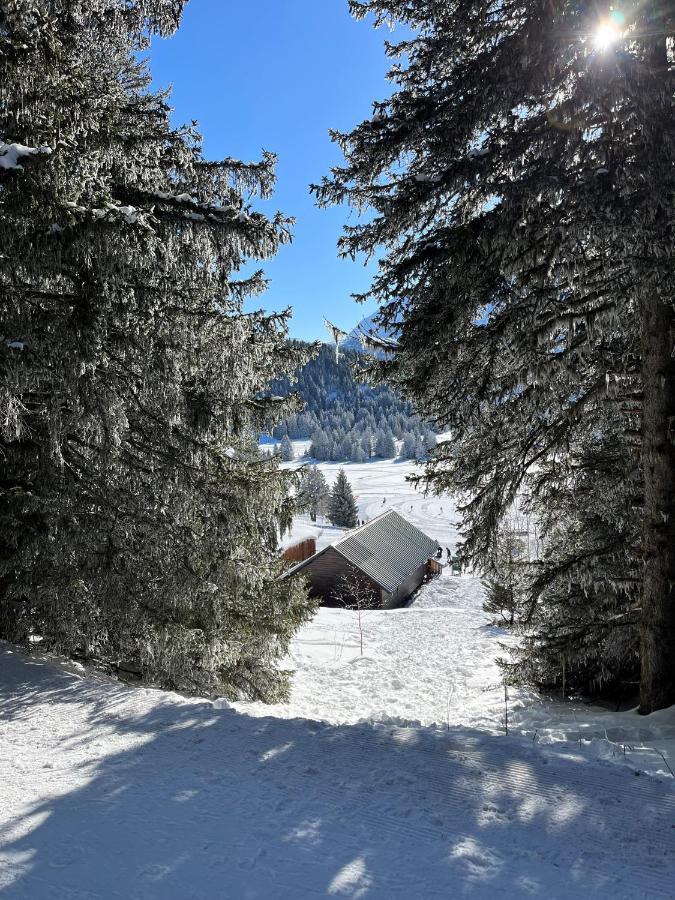 Chamrousse Appart 8 Personnes Au Pied Des Pistes Exterior photo