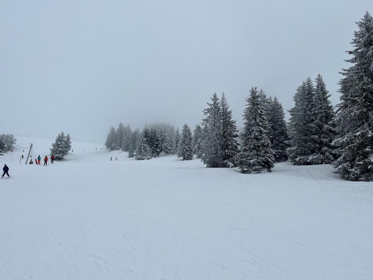 Chamrousse Appart 8 Personnes Au Pied Des Pistes Exterior photo